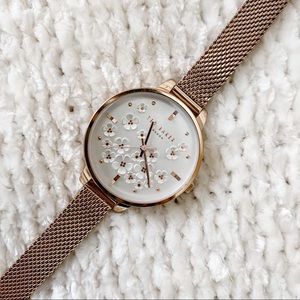 Ted Baker Rose Gold Mesh Watch